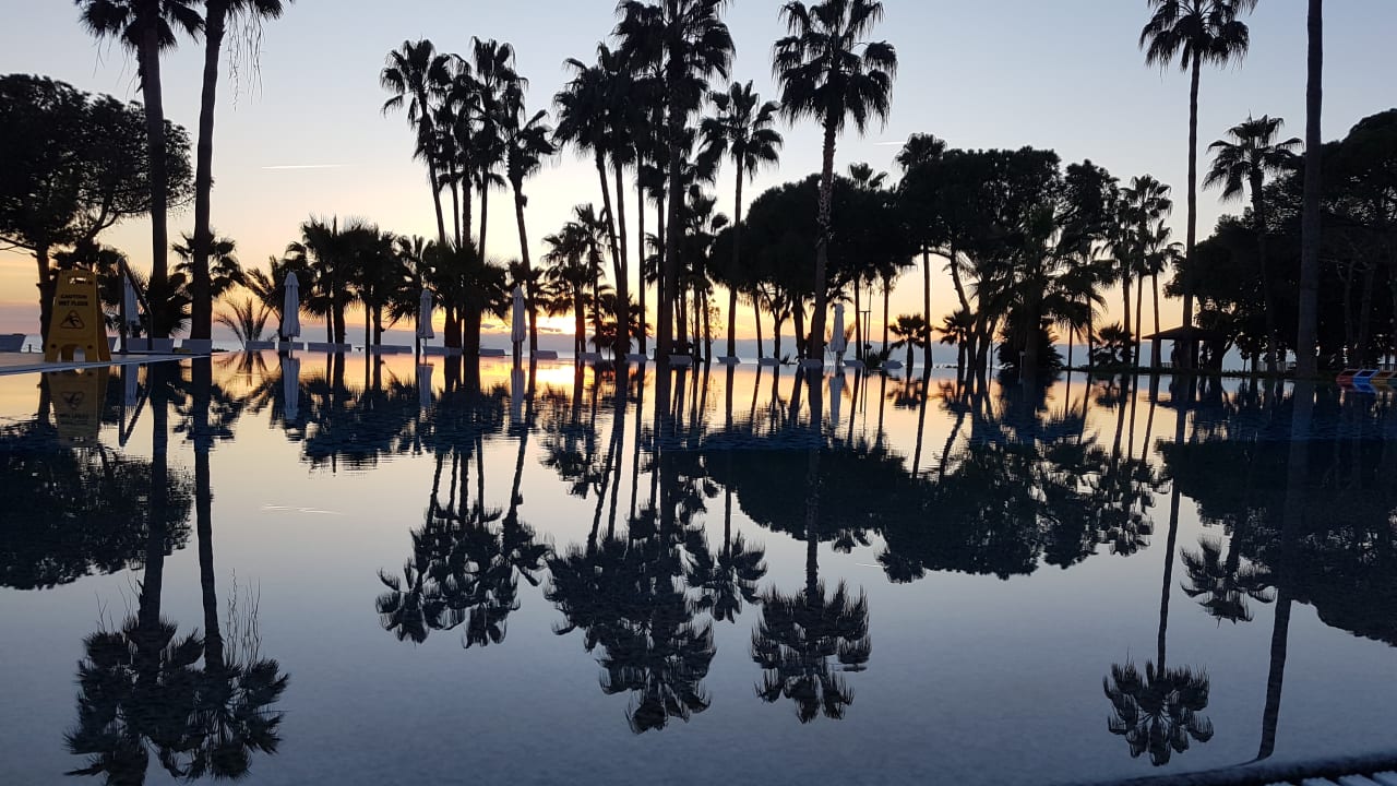 Pool Acanthus Cennet Barut Collection