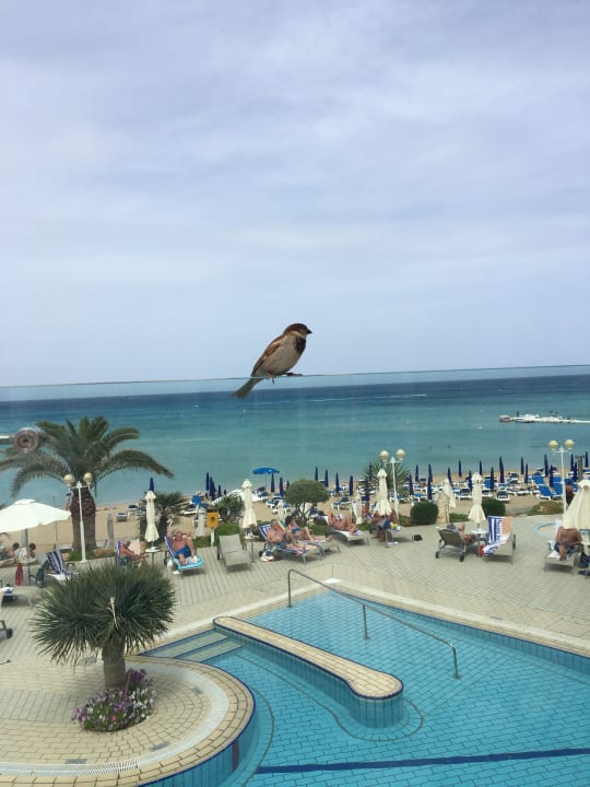 Außenansicht Hotel Sunrise Beach
