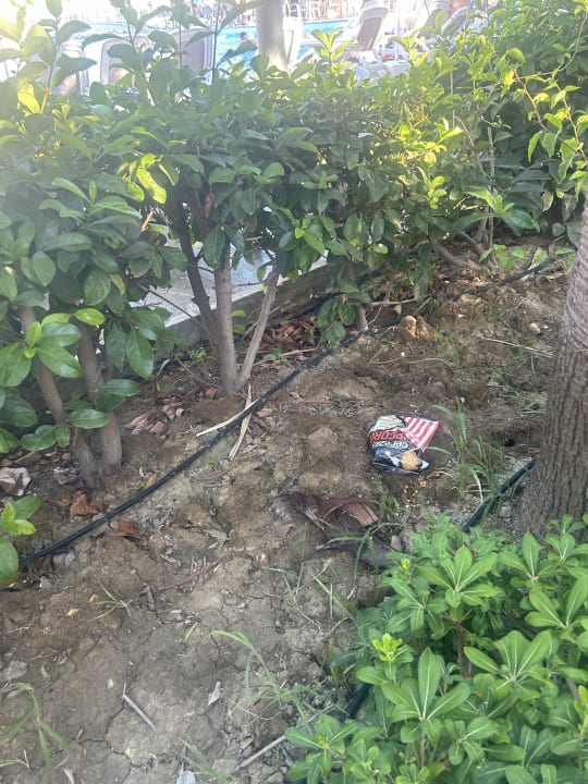 Gartenanlage Sunmelia Beach Resort