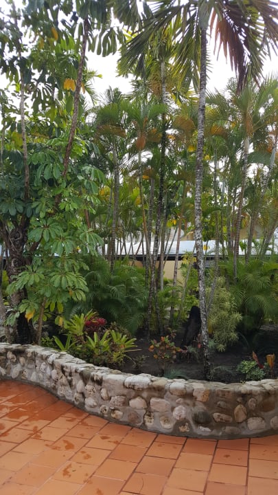 Gartenanlage Grand Paradise Playa Dorada