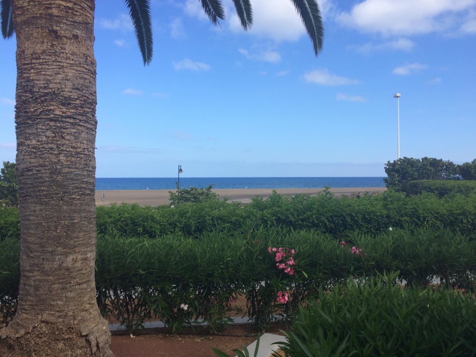 Von der Veranda Hotel Riu Paraiso Lanzarote