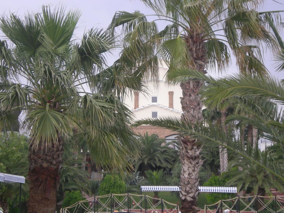 Hotel vom Pool aus  Hotel Thalia Unique