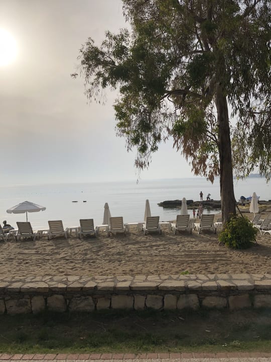 Strand Can Garden Beach