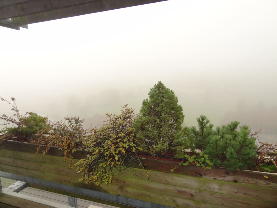 Nebeliger Ausblick Das Sonnreich Thermenhotel Loipersdorf