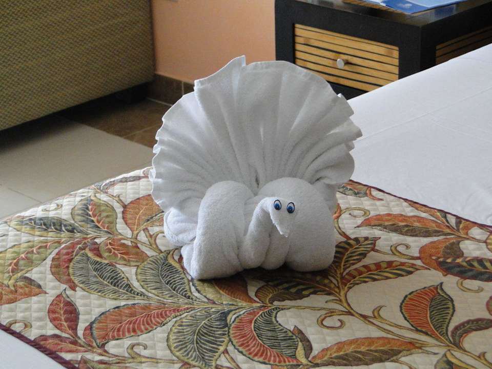 Handtuchfigur Sandos Playacar Beach Resort