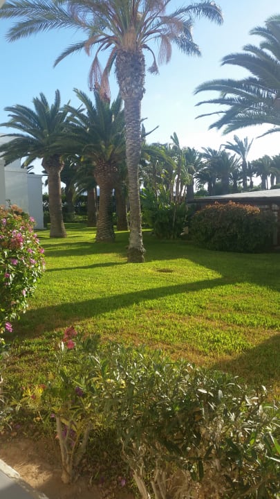 Gartenanlage Relaxia Olivina