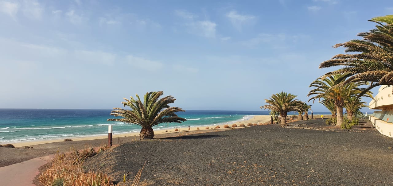 Strand Iberostar Waves Gaviotas Park
