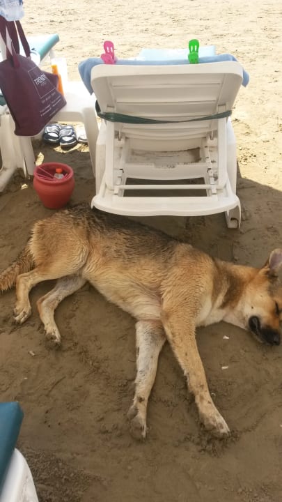 Strand Trendy Side Beach Hotel - Adults only