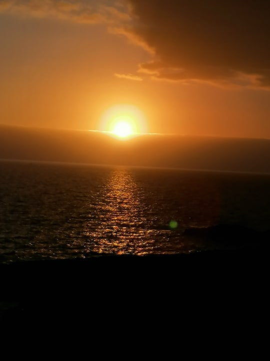 Ausblick Hotel Riu Buenavista
