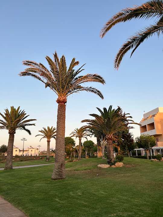 Gartenanlage Anissa Beach & Village