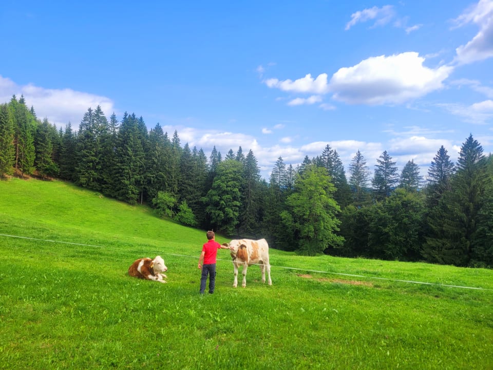 Sport & Freizeit Bauernhof Ablass Familie Zettel