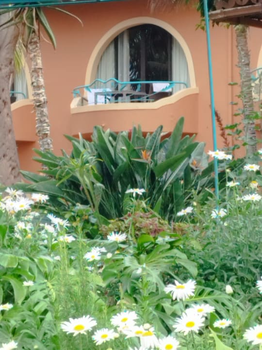 Gartenanlage Hotel Quinta Splendida Wellness & Botanical Garden