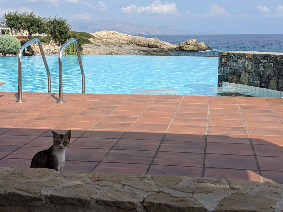 Zimmer Kakkos Beach Hotel