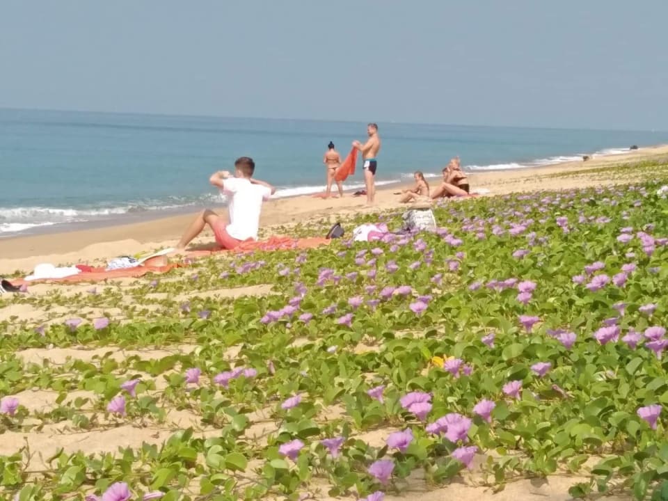 Strand Maikhao Palm Beach Resort