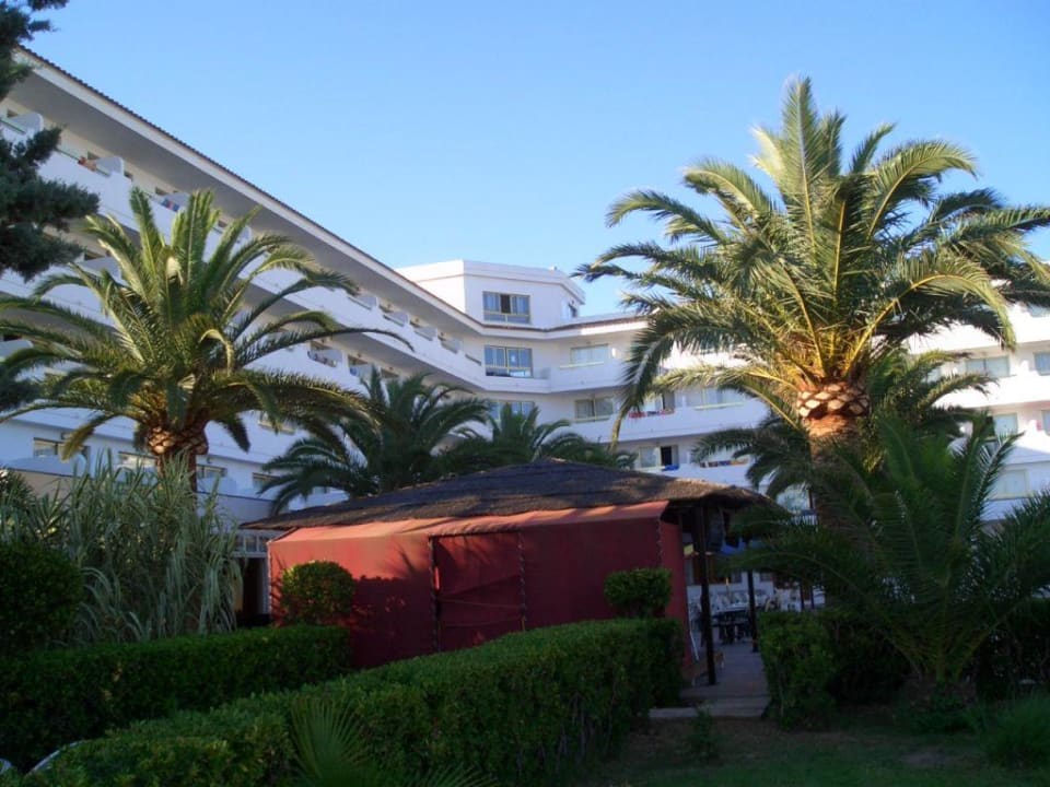 Morgenstimmung Millor Sol