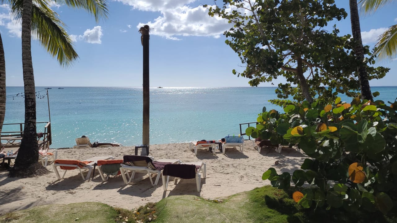 Strand Secrets La Romana Resort & Spa - Adult Only