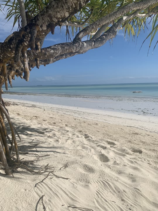 Strand Neptune Pwani Beach Resort & Spa
