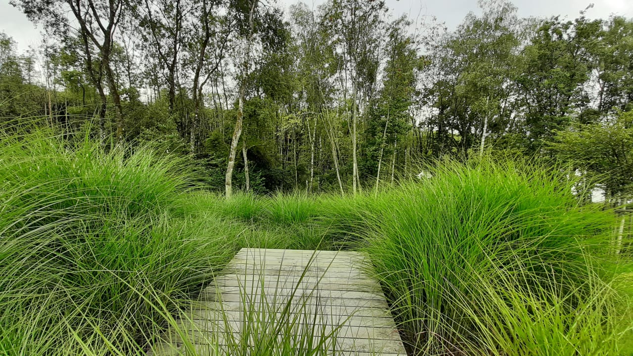 Gartenanlage Seezeitlodge Hotel & Spa