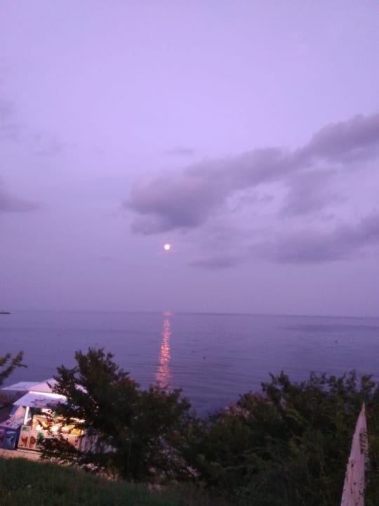 Ausblick Hotel Sineva Beach