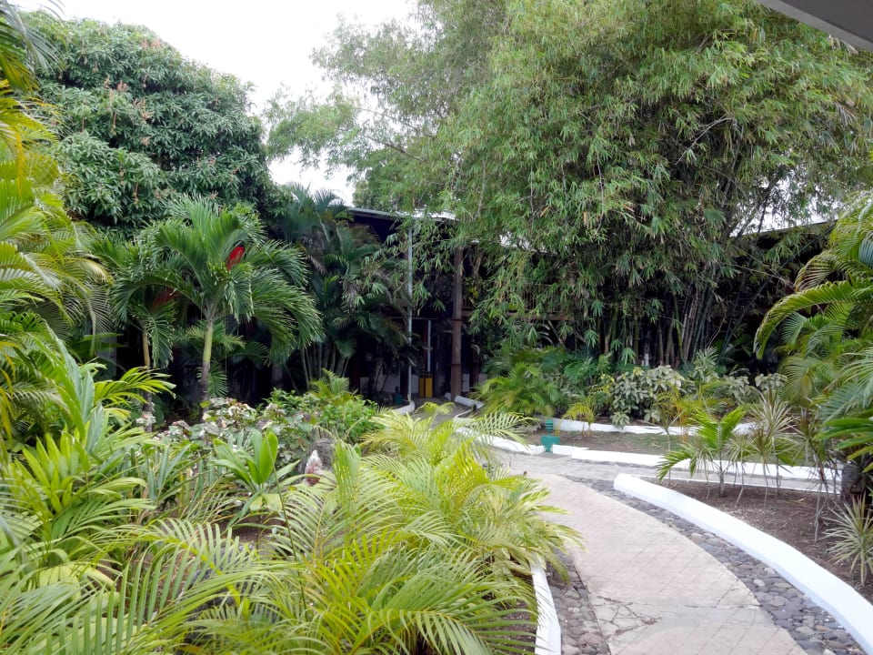 Courtyardzimmer Grand Muthu Club Caribbean Runaway Bay