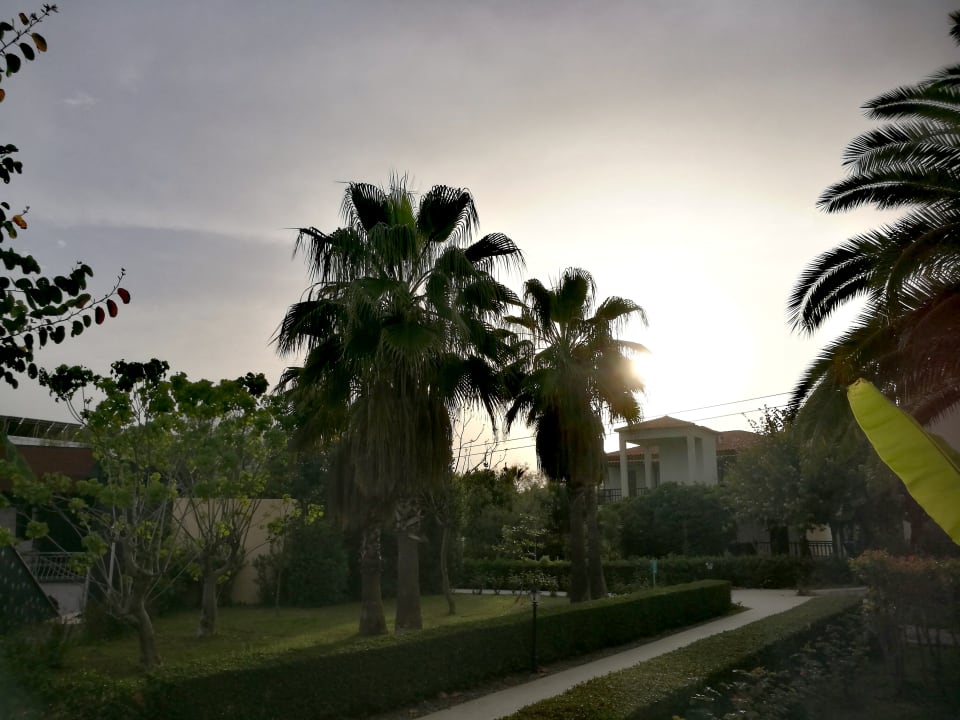 Gartenanlage Hotel Club Nena