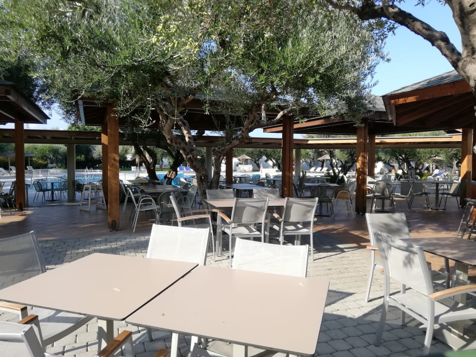 Gastro TUI KIDS CLUB Alex Beach