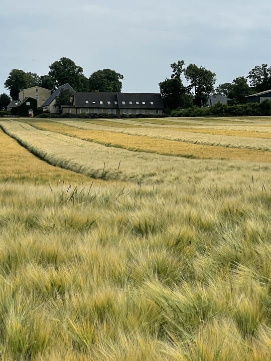 Außenansicht Ferienbauernhof Liesenberg mit Meerblick