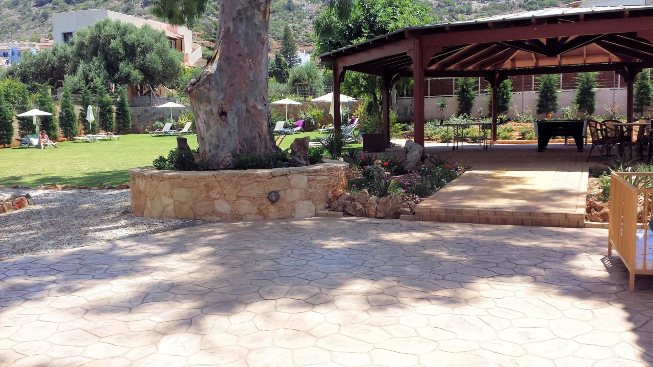 Blick auf die Liegewiese Cactus Royal