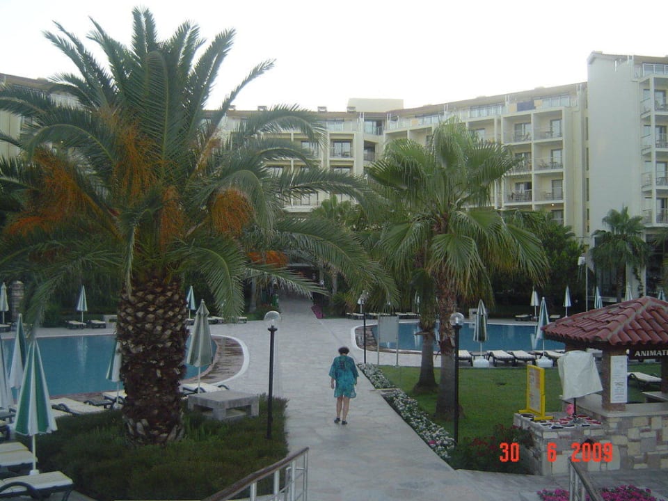 Im Garten Arum Barut Collection