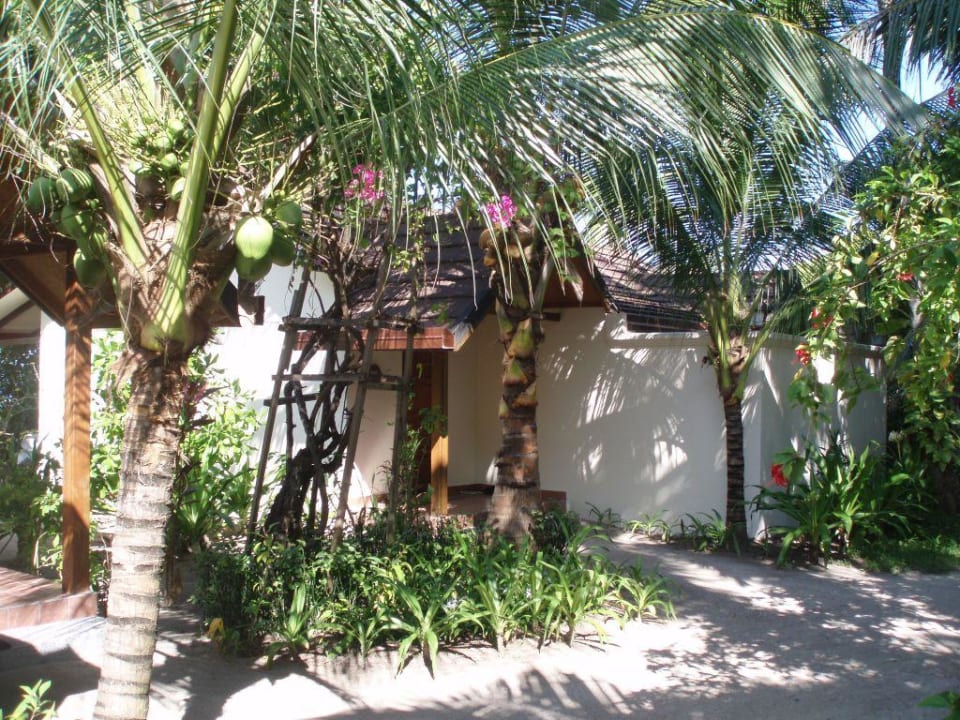 Strandbungalow Kuramathi Maldives