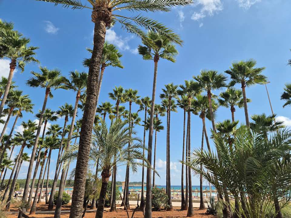 Strand Hipotels Mediterraneo Club