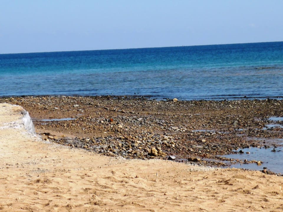 Hotelstrand Pickalbatros Palace Resort