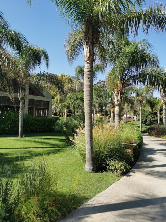 Gartenanlage Ela Excellence Resort Belek