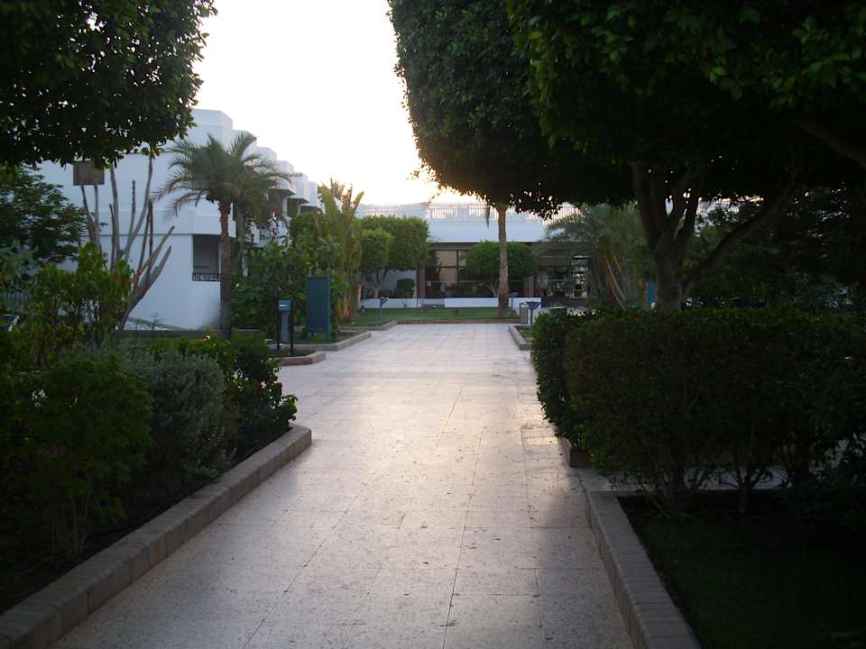 Garten Ghazala Beach
