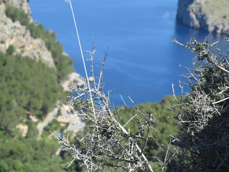 Ausblick Iberostar Waves Playa de Muro