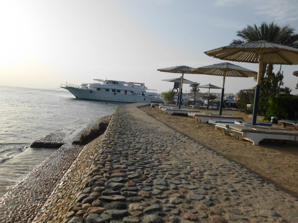 Morze Seagull Beach Resort