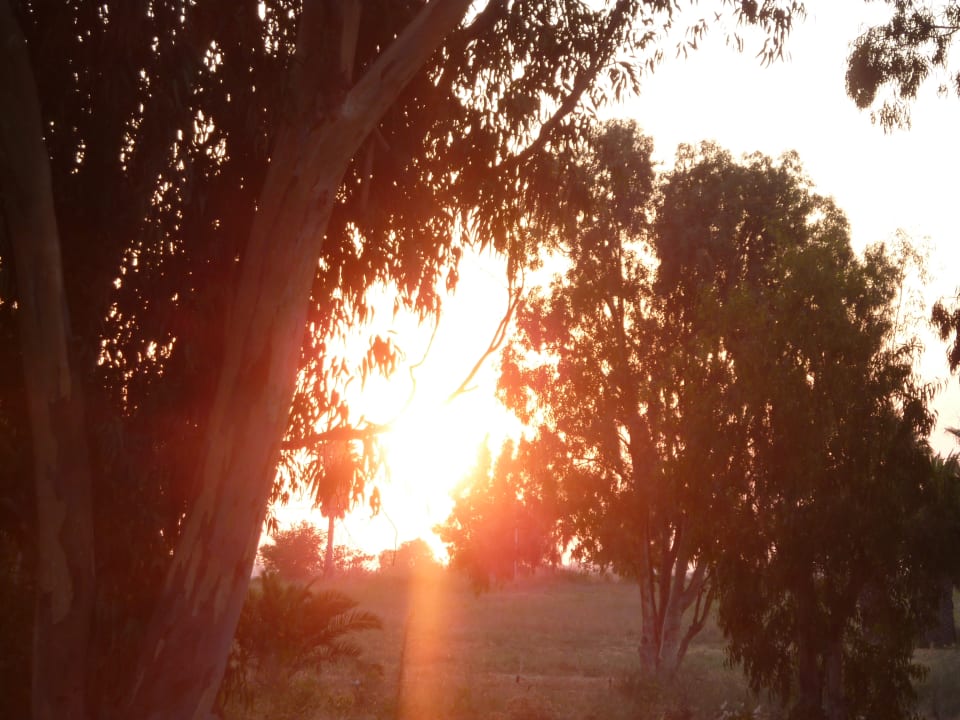 Ausblick Caravia Beach Hotel