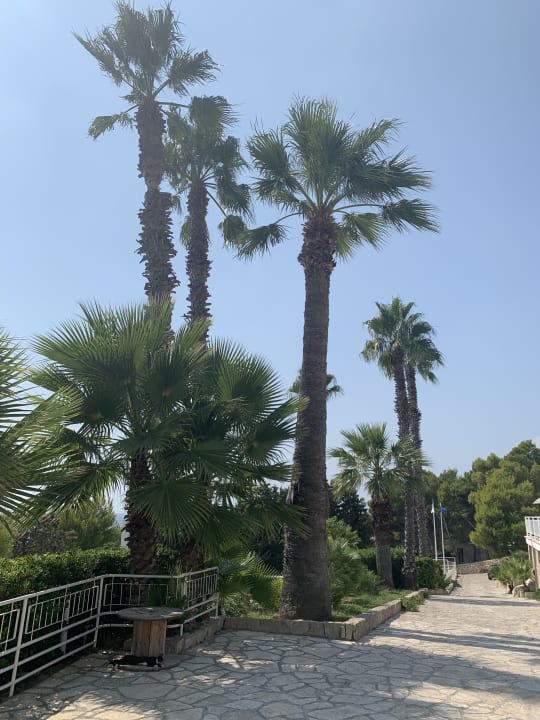 Gartenanlage Grand Hotel Riviera - CDSHotels