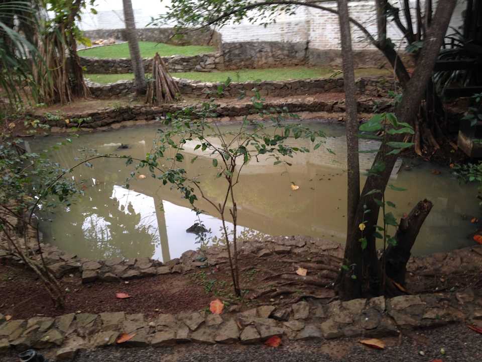 Ist noch viel schlimmer wie auf dem Bild Club Hotel Dolphin