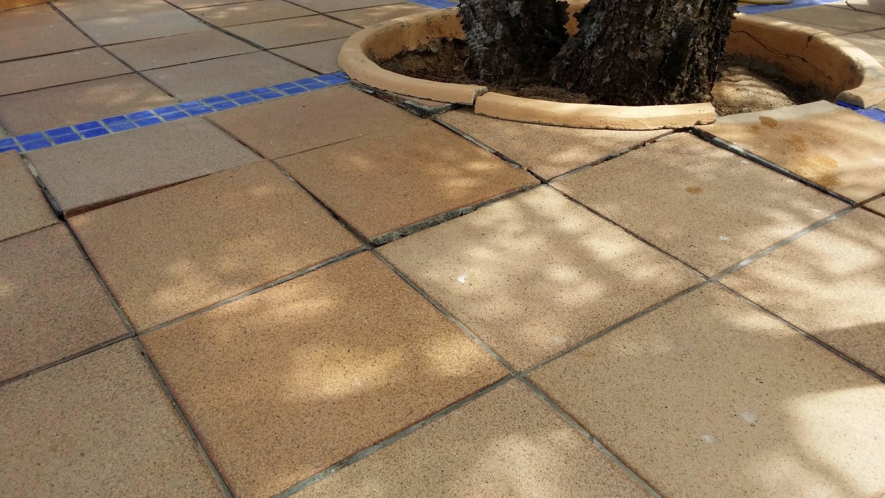 Weggebrochene Beetberandung am Baum Insotel Club Tarida Playa