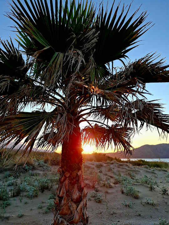 Strand Anemos Luxury Grand Resort