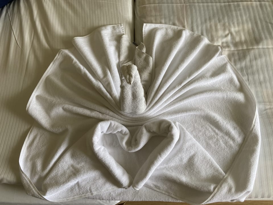 Zimmer Side Star Beach