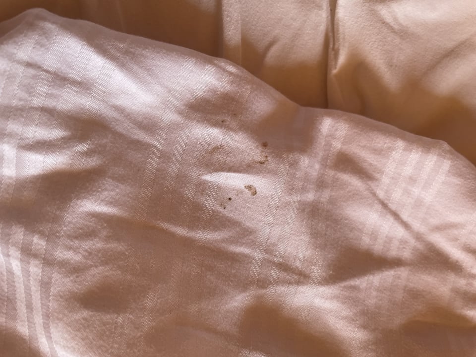 Zimmer Alp Pasa Hotel - Special Class