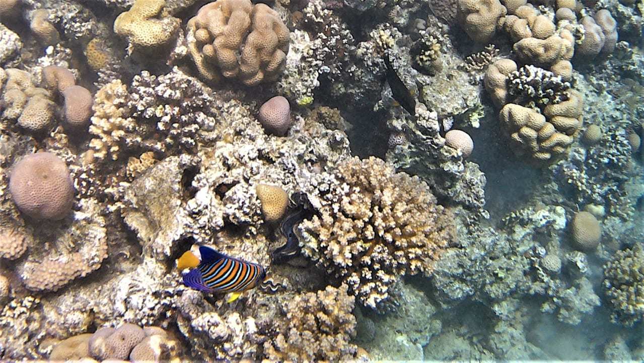 Sport & Freizeit Makadi Spa - Adults only