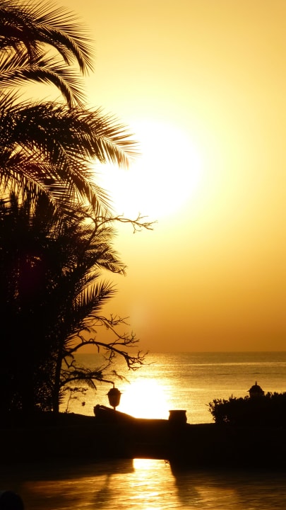 Sonnenaufgang am Pool und Meer Steigenberger Coraya Beach - Adults only