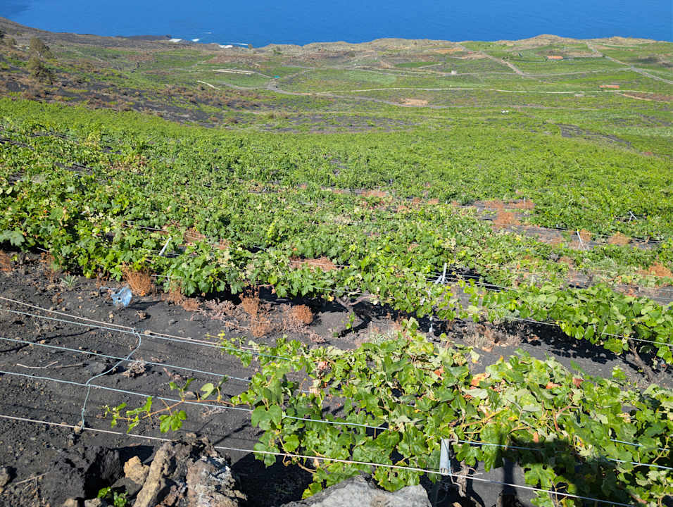 Sonstiges La Palma Princess