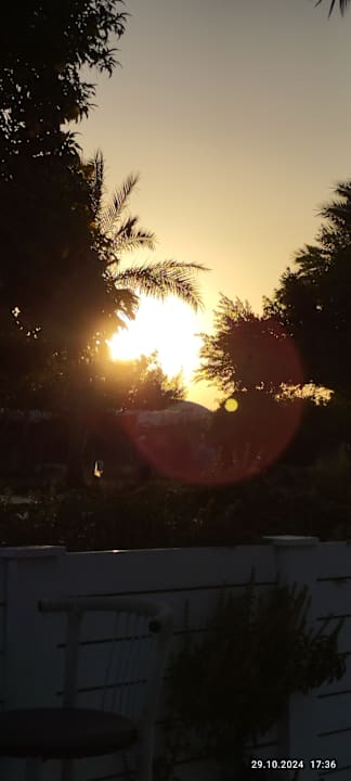 Ausblick Desert Rose