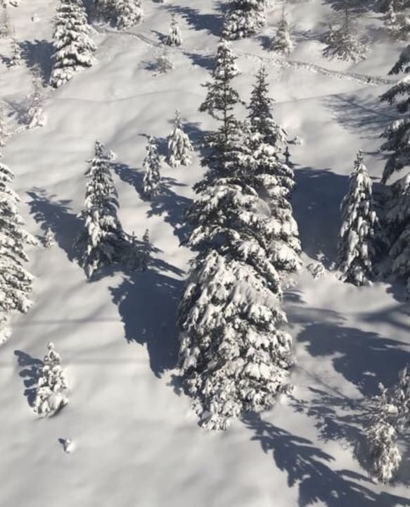 Außenansicht Vizensn Living