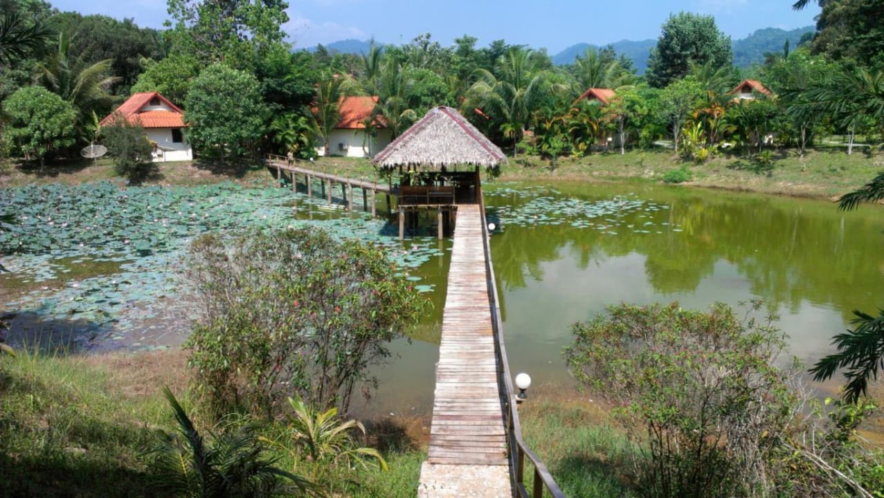 Blick durch die Anlage von der rechten Seite Hotel Khaolak Riverside Bungalow