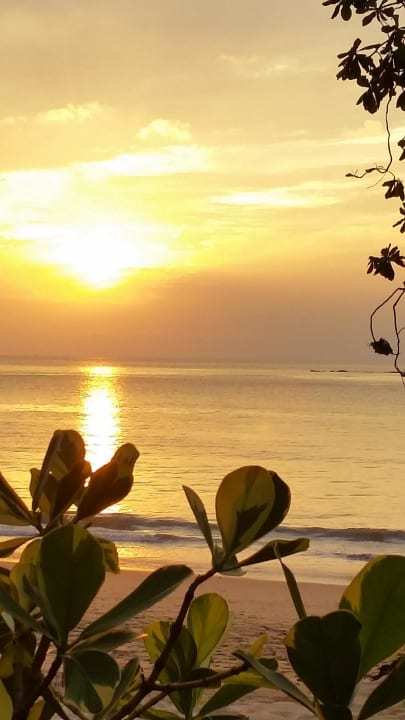 So schön kann die Sonne untergehen The Briza Beach Resort Khaolak